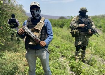 Capos mexicanos viajaron a Venezuela para  buscar tregua entre ELN y las FARC
