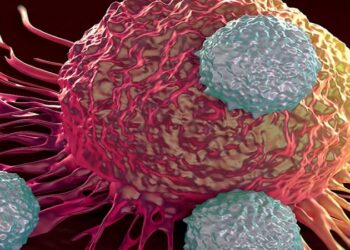 España debe aplicar lo antes posible las estrategias europeas para el abordaje del cáncer