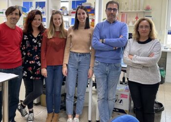 Los niveles de cadenas ligeras libres de inmunoglobulinas predicen eventos cardiovasculares en pacientes con aneurisma aórtico abdominal