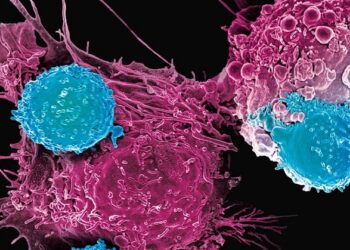 La sanidad pública madrileña suma cinco nuevos centros para terapia CAR-T