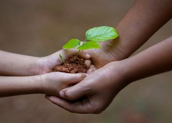 La iniciativa Bosque de Cofares 4.0 cuenta ya con más de 10.000 m2 de superficie regenerada