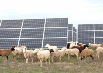 Endesa recibe declaración de impacto ambiental