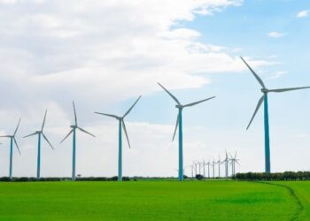 MAPFRE se une a la Net Zero Asset Owner Alliance