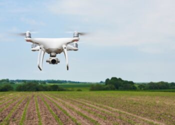 España lidera el sector agrotech: tecnología para mejorar la industria agro