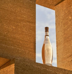 Domaines Ott* nombrada “Bodega Europea del año” por Wine Enthusiast 2022