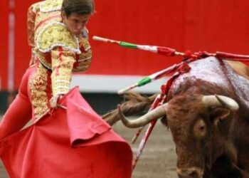 Movistar Plus+ confirma el adiós definitivo del Canal Toros