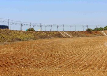Endesa X instalará una planta solar fotovoltaica de autoconsumo en la Universidad Pablo de Olavide