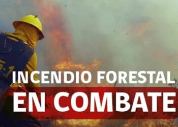 Chile: McCann y Conaf muestran la cruda realidad de los incendios