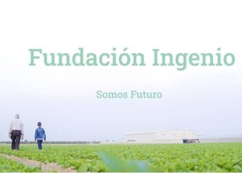 Grayling gestionará los Asuntos Públicos de la Fundación Ingenio