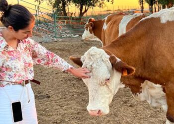 Del marketing a la ganadería, esta es la historia de Prado Alegre
