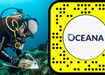 Oceana México: la primera ONG latinoamericana en Spotlight