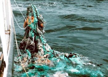 Lidl y Gravity Wave extraerán desechos plásticos del Mar Mediterráneo