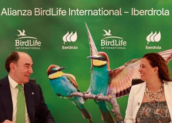 Iberdrola y Birdlife International firman alianza para proteger la biodiversidad