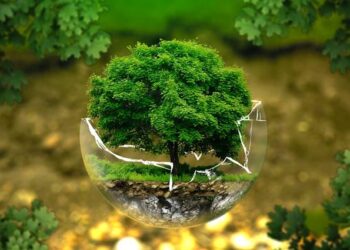 “Evitar el greenwashing es esencial para mantener la confianza y la credibilidad”