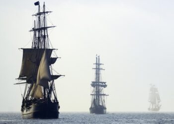 AMC Selekt encara la recta final de 2023 con más de 1.000 estrenos