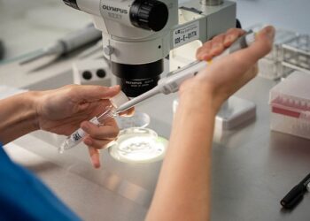 Un 50% de embarazos en la primera transferencia y con un único embrión