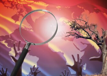 Las agencias con certificado B Corp, ¿compañías transparentes?