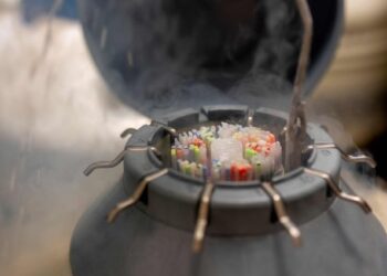 HM Fertility Center cuenta con sistemas que aseguran los datos y muestras de las pacientes