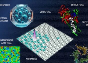 Redes neuronales para identificar mutaciones que afectan en la multiplicación del covid-19