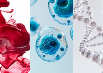 Cáncer de sangre: más comunicación para mejorar la calidad de vida