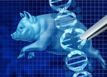 Xenotrasplantes de órganos no vitales como alternativa a las terapias: ¿sí o no?