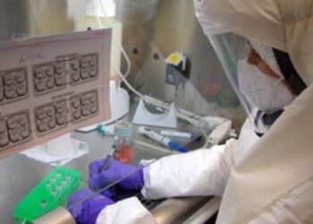 Se halla una combinación de fármacos eficaz frente al virus causante de la Covid-19