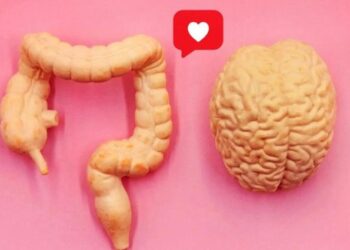 Un documental genera conciencia sobre cómo la salud del intestino afecta a todo el cuerpo