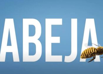 “En Clicars no se nos escapa nada”: la campaña que da valor a los vehículos reacondicionados