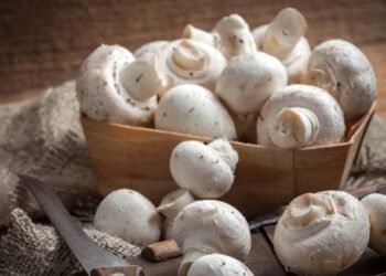 ¿Cómo diagnosticar la intolerancia a la trehalosa o a los champiñones?