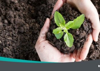 El equipo de Quirónprevención conciencia a la sociedad de la importancia de cuidar del medioambiente