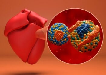 Lipoproteína (a), el nuevo factor de riesgo cardiovascular que gana protagonismo