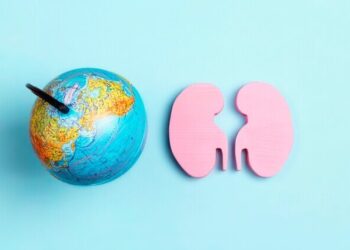 Las enfermedades renales afectan a más del 10% de la población mundial