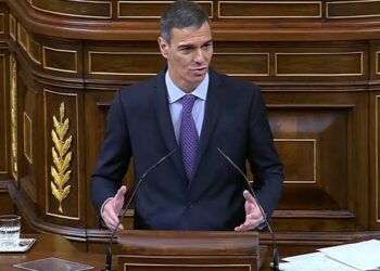 Regeneración democrática: 5 exigencias de la sociedad civil al Gobierno de Sánchez