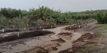 ¿Qué es lo que pasa con las parcelas afectadas por la DANA calificadas de Dominio Público Hidráulico?