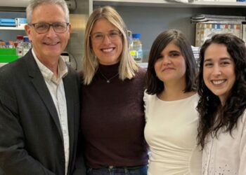 Investigadores españoles publican dos avances clave que mejoran la eficiencia de las terapias de edición génica en enfermedades de la sangre