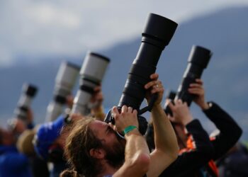 Así fue el periodismo en 2025: mucho ruido mediático y la confianza ciudadana al límite