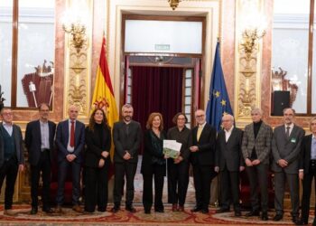 El Observatorio del Alzheimer propone preparar el sistema sanitario ante los nuevos avances en la enfermedad