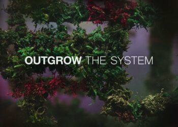 ortada repensar la economia