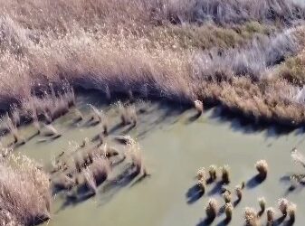 Juanfran Pérez Llorca retoma su agenda tras Fallas reivindicando el liderazgo hidráulico de la Comunitat Valenciana